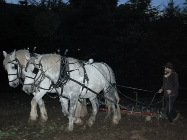 DSC_0655_2-scaled-e1747905225286